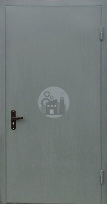 дверь с окрасом нитроэмаль-ДВ-1596